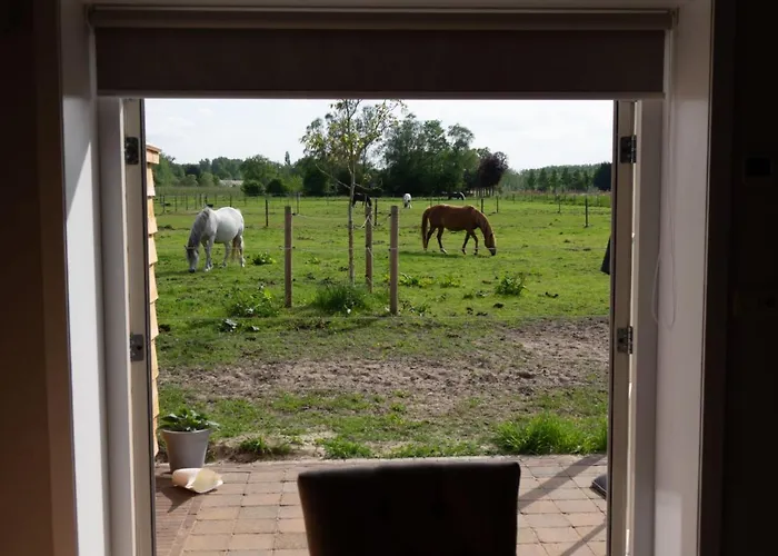 Hoeve Klein Haneveld Сasa de vacaciones