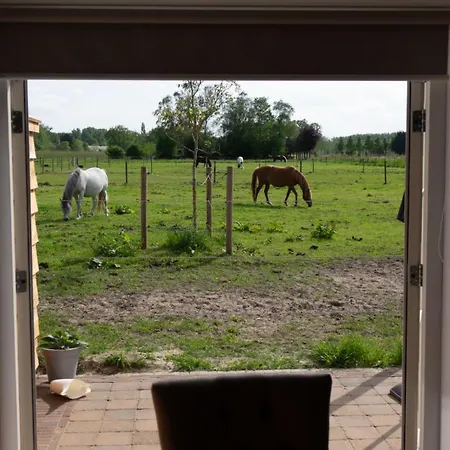 Hoeve Klein Haneveld Hébergement de vacances